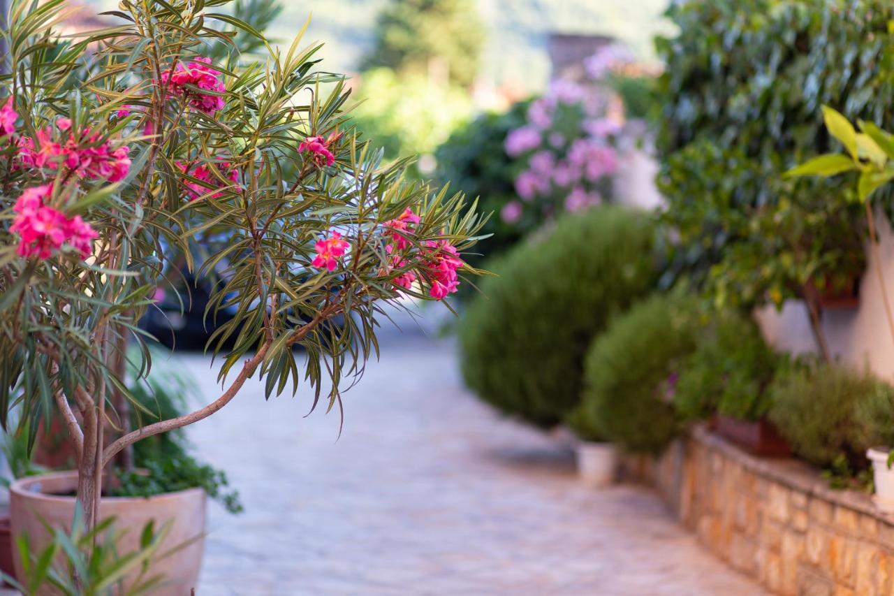 Apartments Ljubo Stari Grad  Εξωτερικό φωτογραφία